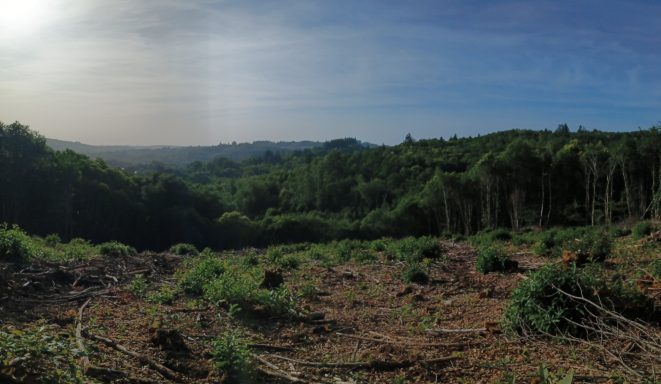 Paysages
