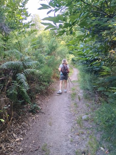 Les chemins sont en très bon état