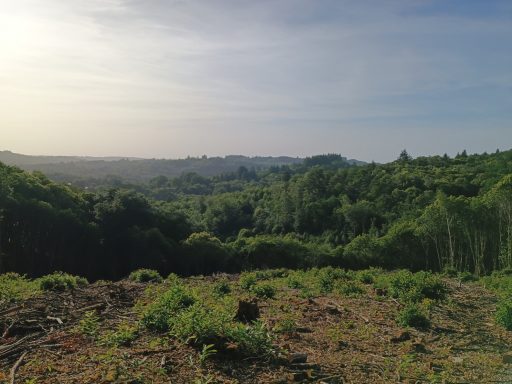 Paysage