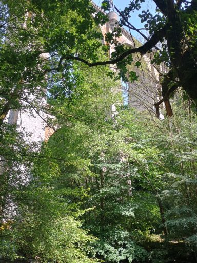 Sous le viaduc