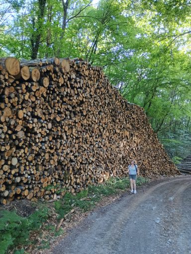 Tas de bois