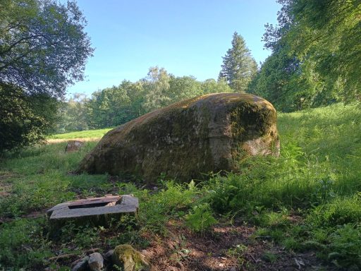 La baleine à côté du puits