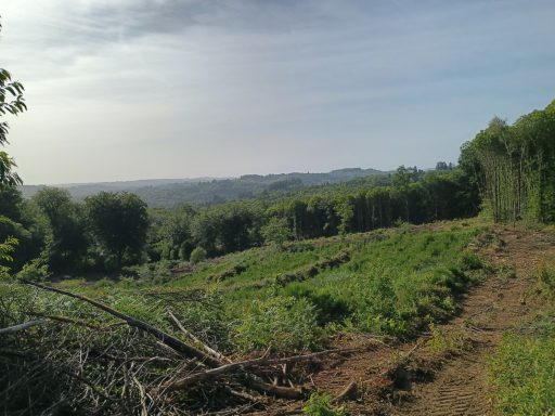 Point de vue
