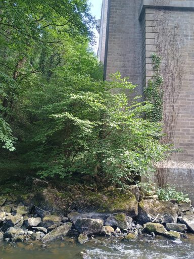 Viaduc de Rocherolles