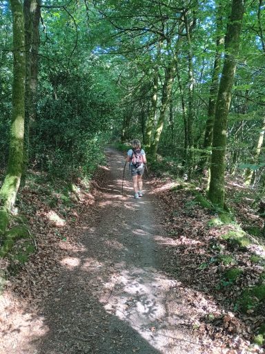 Chemin de randonnée