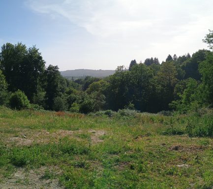 Point de vue