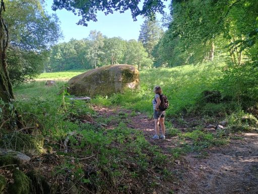 La baleine