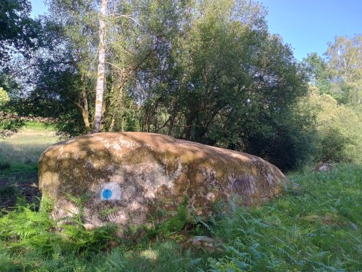 La fameuse baleine